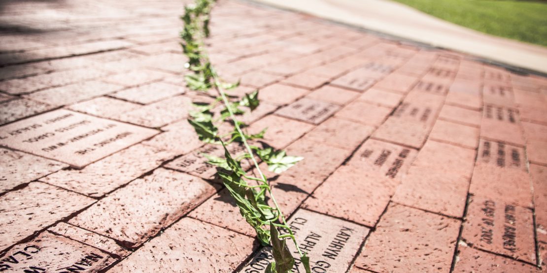 William Woods alumni bricks