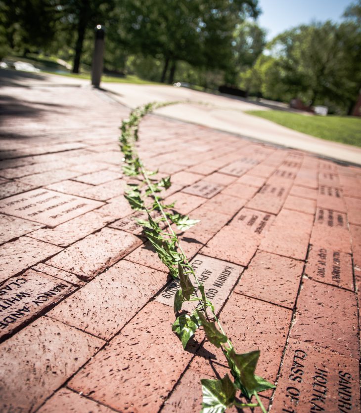 William Woods alumni bricks