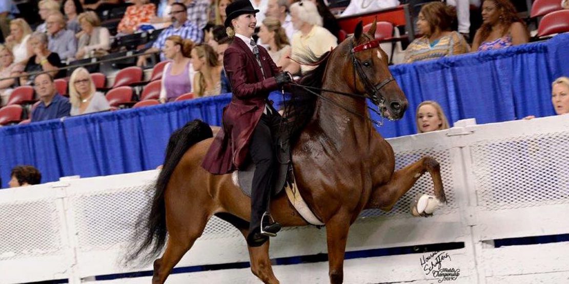 Taylor Woods at the World Championship Horse Show in Louisville KY.