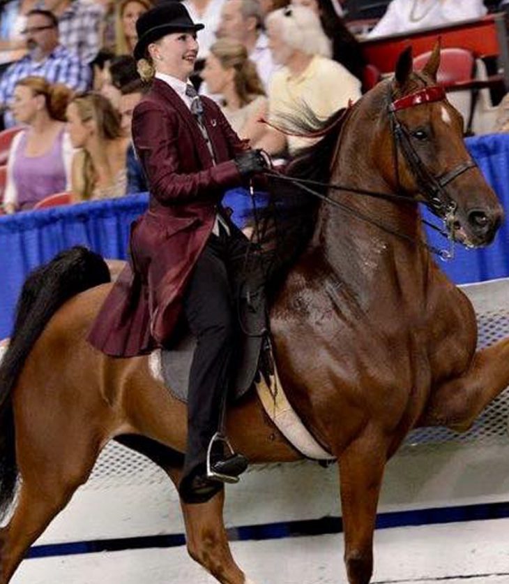 Taylor Woods at the World Championship Horse Show in Louisville KY.