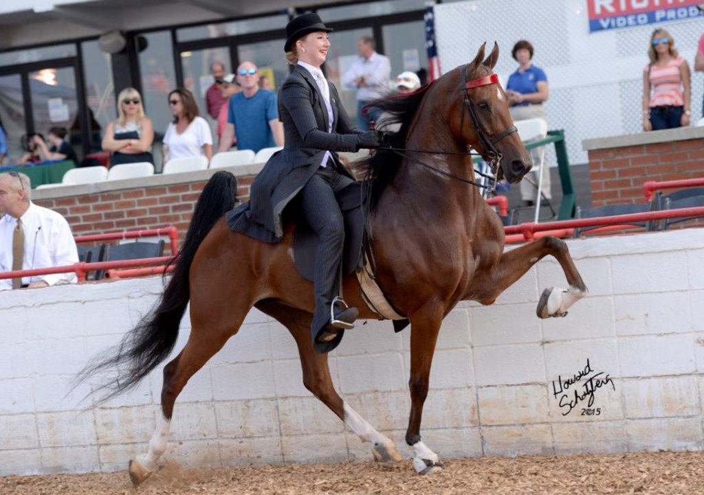 Taylor Woods at the Lexington Junior League Horse Show.