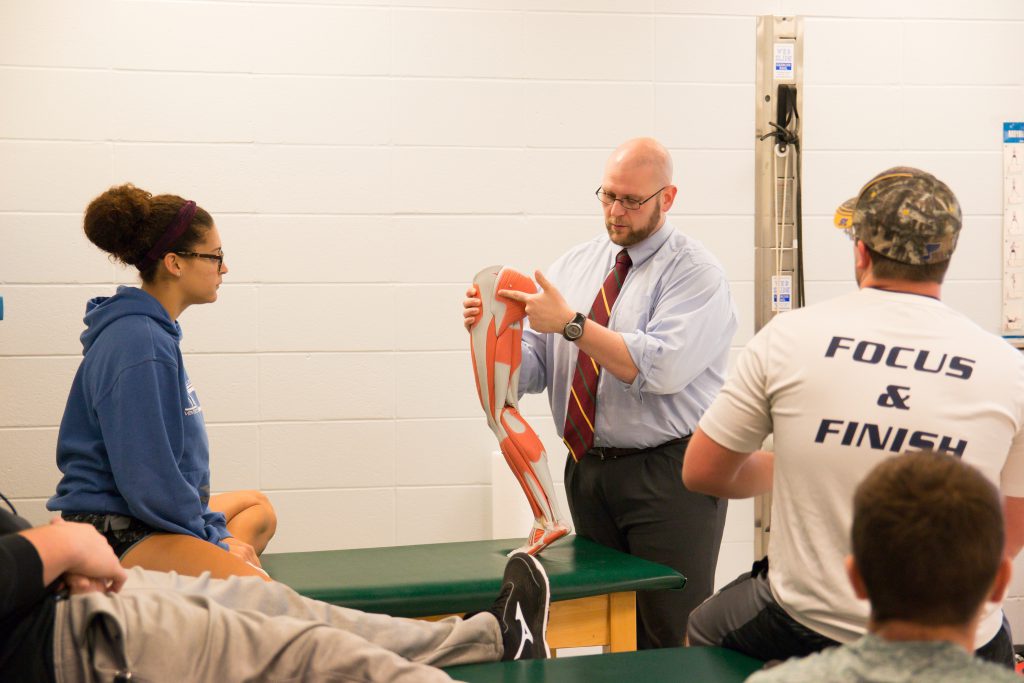 Exercise Studies Studies in Lab