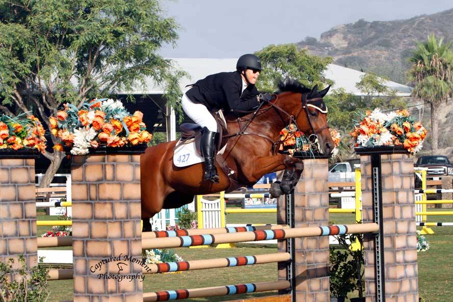 Ashley Stannard showing Hunter/Jumper