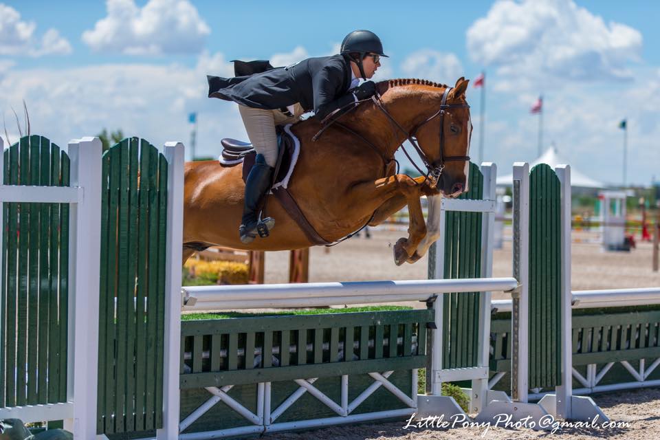 Ashley Stannard competing hunter/jumper