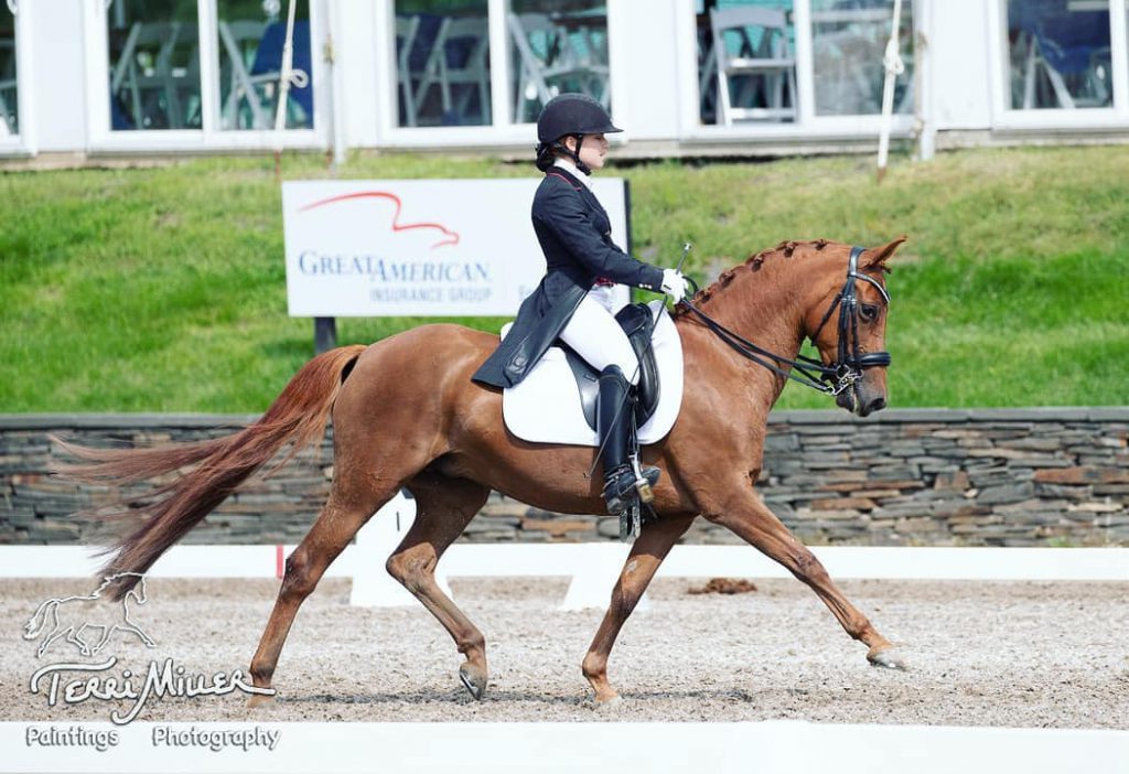 Courchaine riding