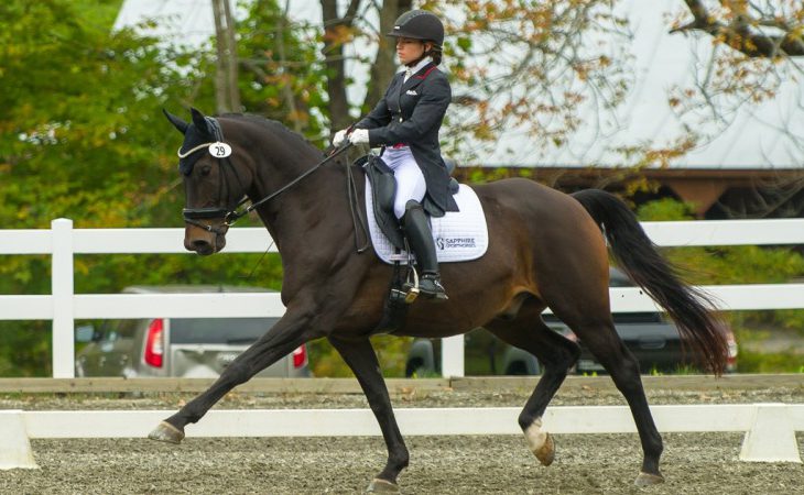 Courchaine riding Dressage