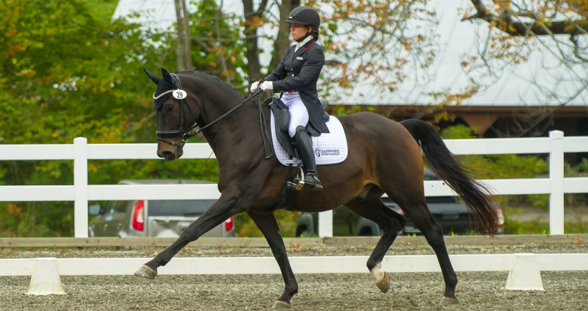 Courchaine riding Dressage