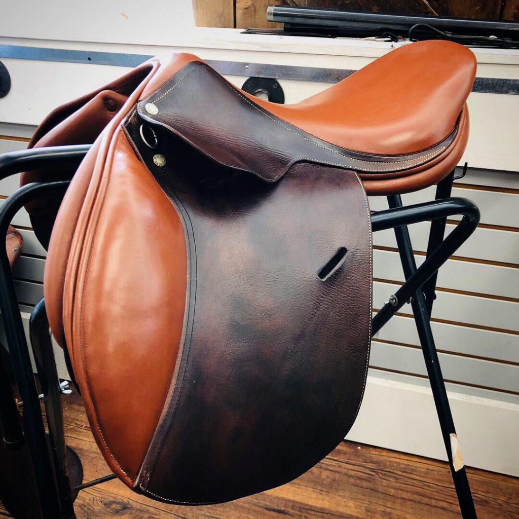 Saddle