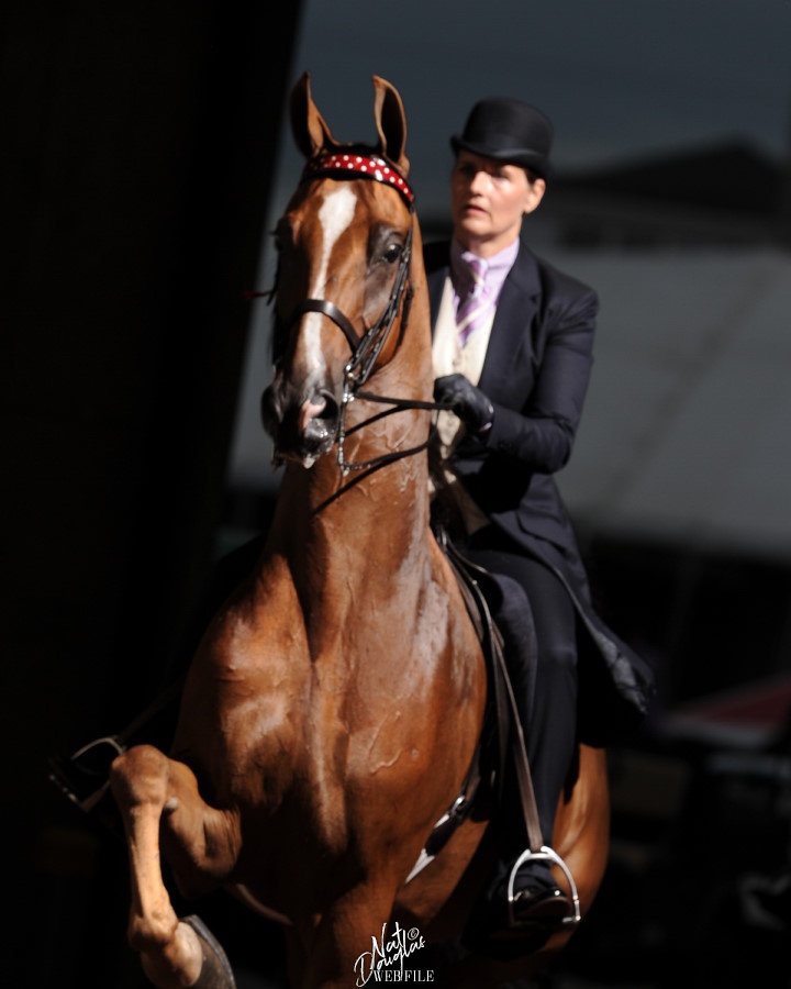 Sarah Track riding "Designed by Fancy" 