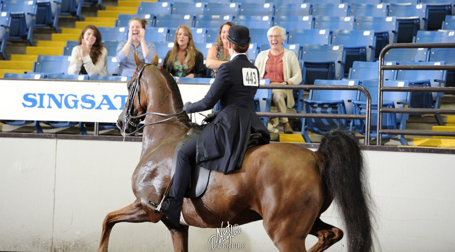 Sarah Track at the Missouri State Fair with other Equestrian Science Faculty in the stands