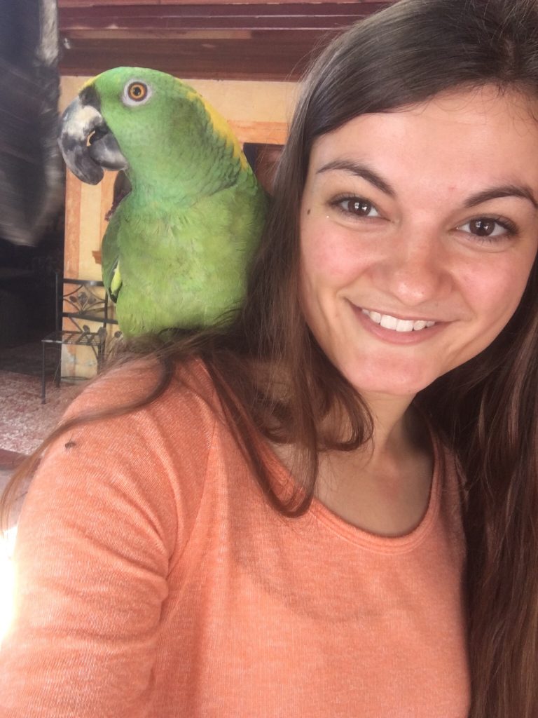 Caitlin Cook with a native parrot