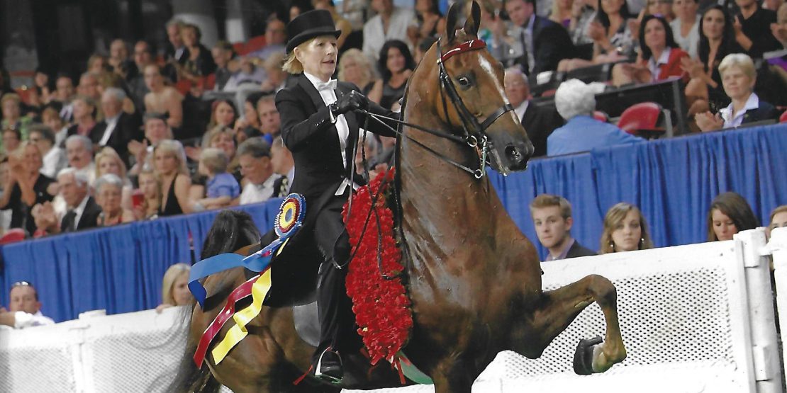 Sarah Winning the Ladies 3-gaited World's Championship aboard WC. CH. Mr. Center Stage