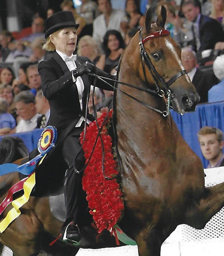 Sarah Winning the Ladies 3-gaited World's Championship aboard WC. CH. Mr. Center Stage