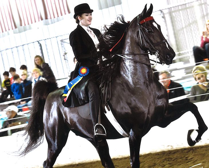 WWU equestrian student showing an American Saddlebred