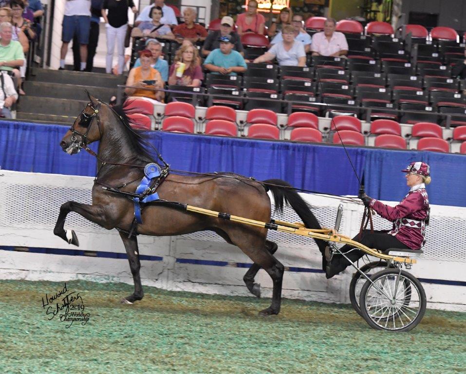 Photo of Kim and Genesis. World Champion Ladies Roadster to Bike 2019