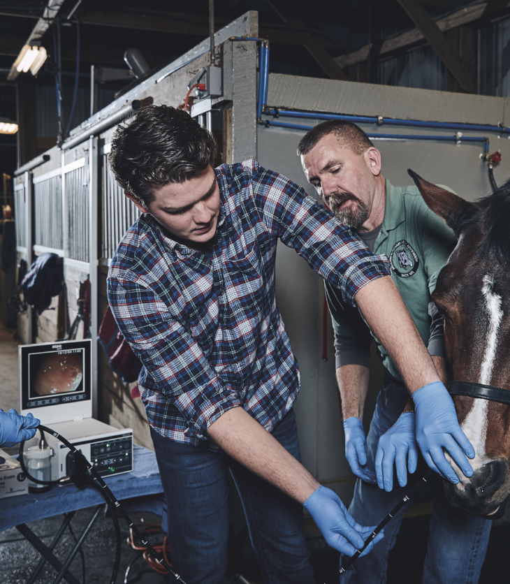 Center for Equine Medicine