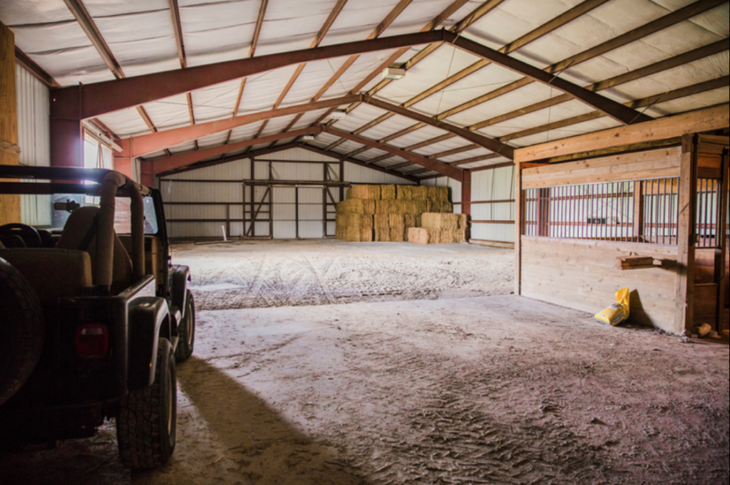 Center for Equine Medicine