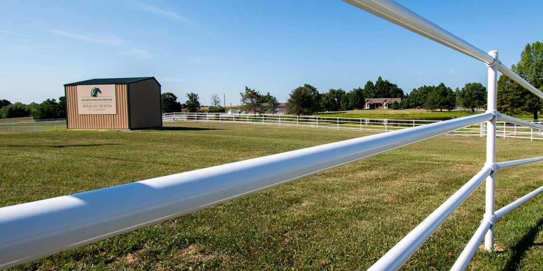 Center of Equine Medicine