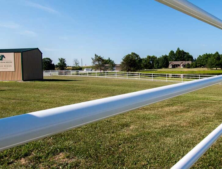 Center of Equine Medicine