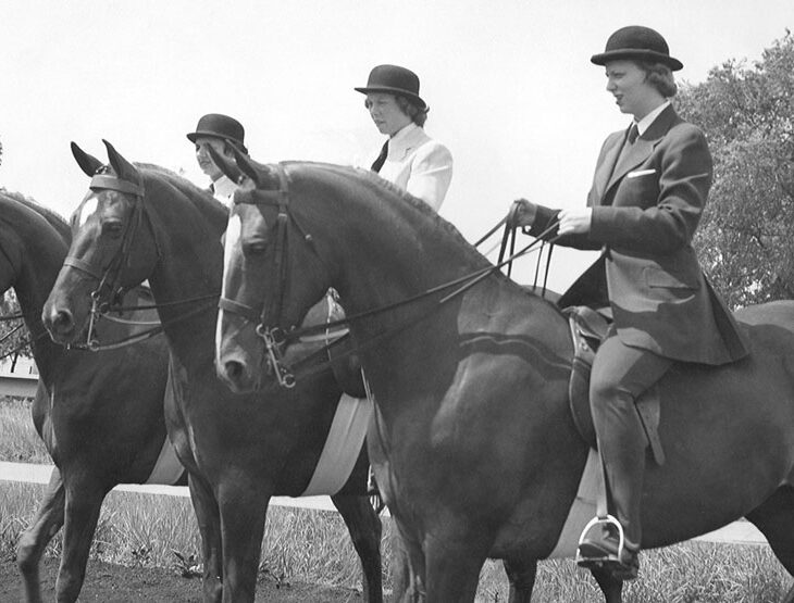 Saddleseat Horses and riders on WWU campus