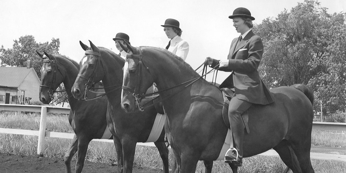 Saddleseat Horses and riders on WWU campus